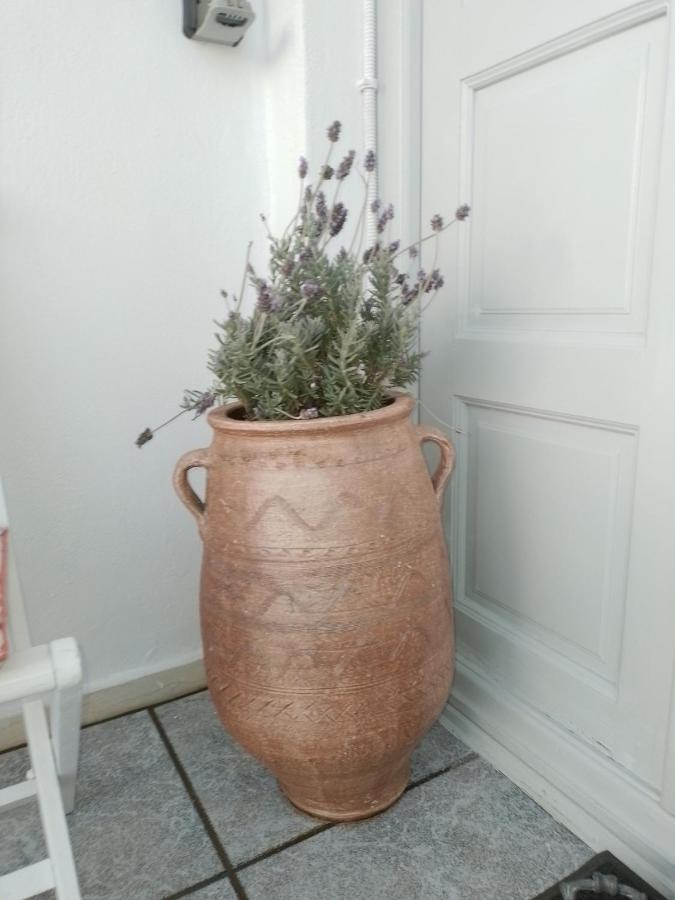 Town Apartment Mykonos Town 외부 사진